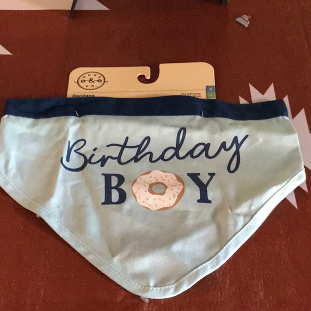 3/for $20 in a BUNDLE - BOND & CO BIRTHDAY BOY DOG BANDANA